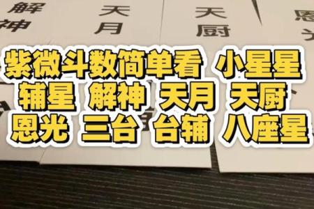 紫薇斗数看才子