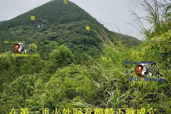 如何判定风水宝地 如何判定风水宝地