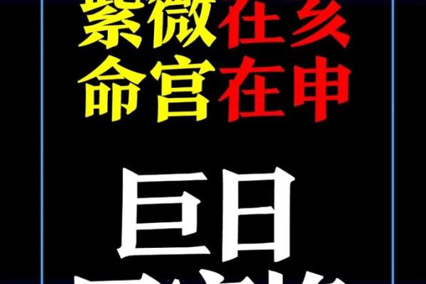 紫微斗数ios 紫微斗数免费排命盘? 紫微斗数ios 紫微斗数免费排命盘?