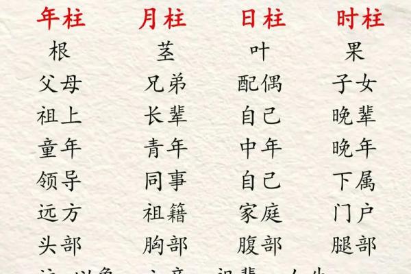 从八字看农历正月到六月出生的人性格和特点