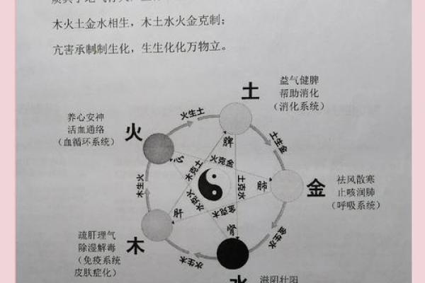 风水文化：食物里的五行秘密