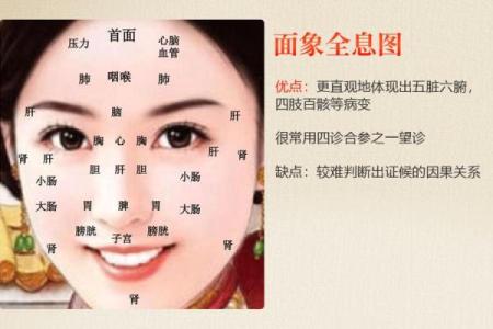 人体胎记算命的解释分析