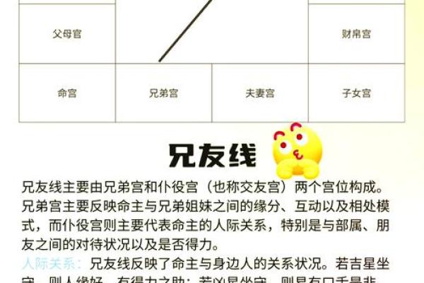 紫薇斗数小限是什么 紫薇斗数小限是什么