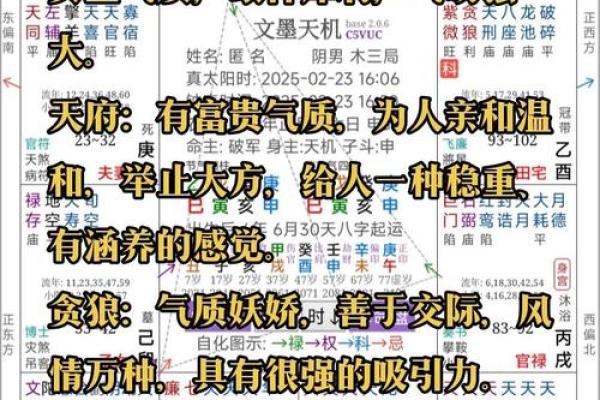明极紫薇斗数 明极紫薇斗数