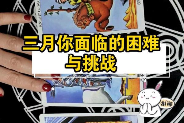 塔罗牌测试三月学习运