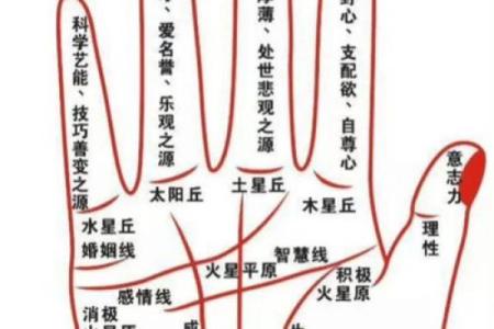 看手相算命婚姻