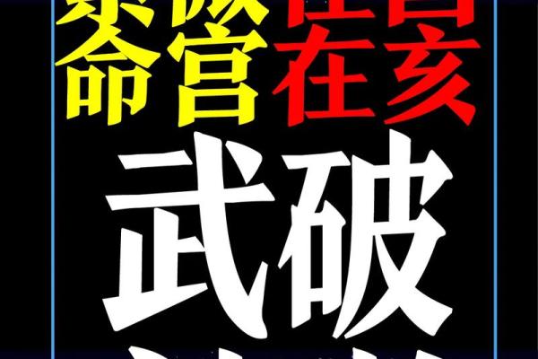 奏书紫微斗数,奏书在命宫的解释