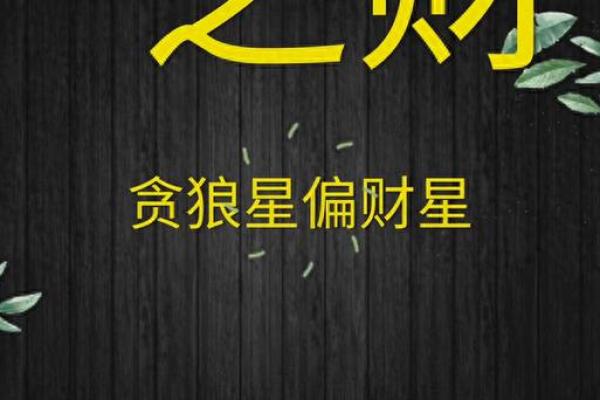 紫薇斗数投资理财高手