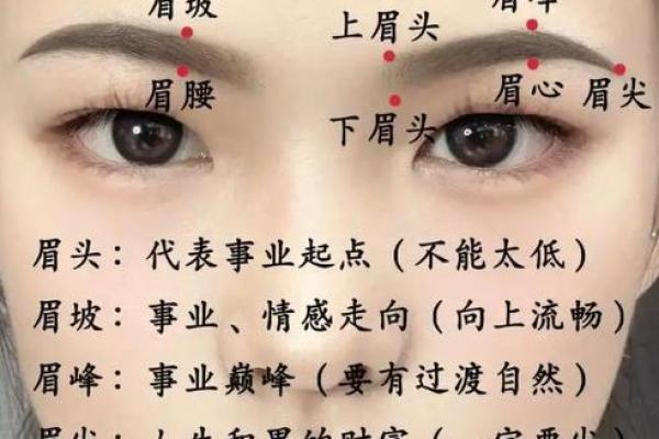 风水面相哪三种眉毛男人最好命 风水面相哪三种眉毛男人最好命