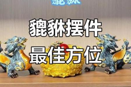 风水貔貅客厅放几个才最好-