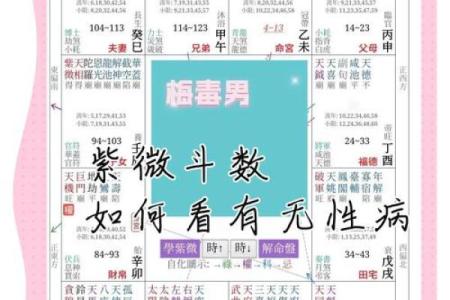 紫薇斗数对人有什么影响