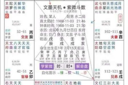 紫微斗数之预测灾厄：　自杀