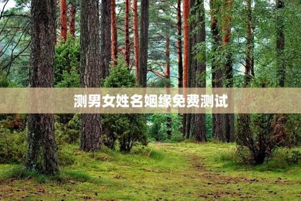 姓名姻缘预测免费 姓名姻缘测试打分 免费？