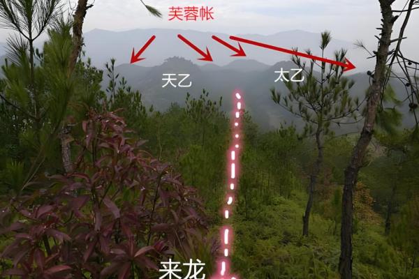 如果看阴宅风水宝地