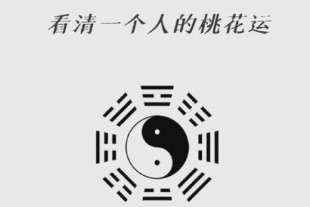 八字里桃花