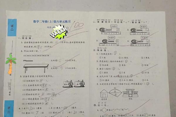 姓名免费打分测试100分