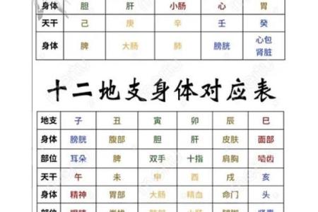 根据八字保健身体 八字可否用于保健身体