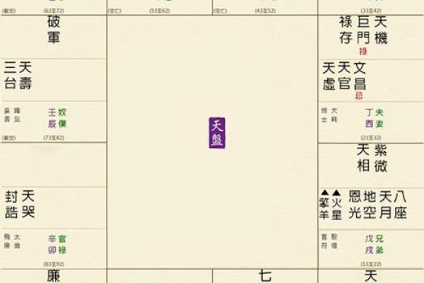 紫薇斗数命宫天梁 紫薇斗数命宫天梁