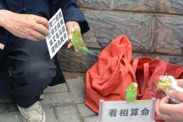 生命危机提醒：算命到底有多神秘？网友真实故事曝光