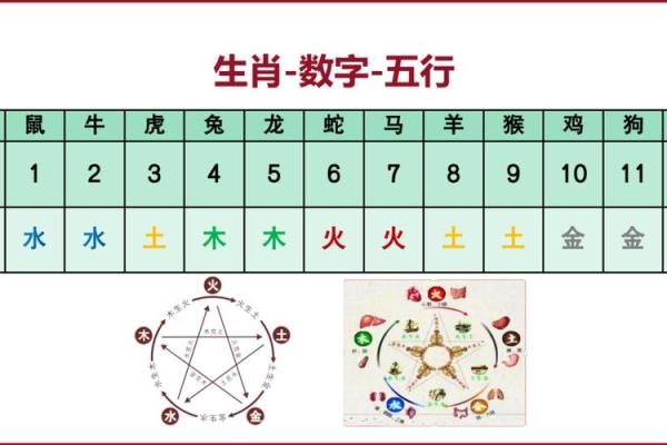 怎么看八字命盘,如何解读八字排盘