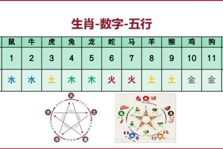 怎么看八字命盘,如何解读八字排盘