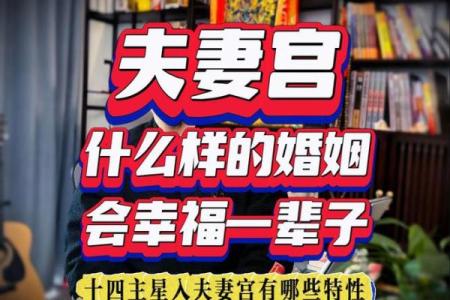 紫微斗数单身 紫微斗数看婚后生活？