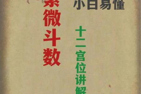 紫薇斗数问感情