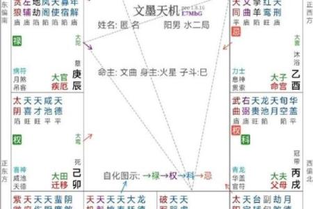 紫微斗数诸星落诸宫之：破军星夫妻宫详解