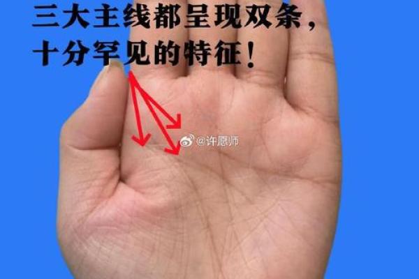 手相算命 女人不好的掌纹姻缘线
