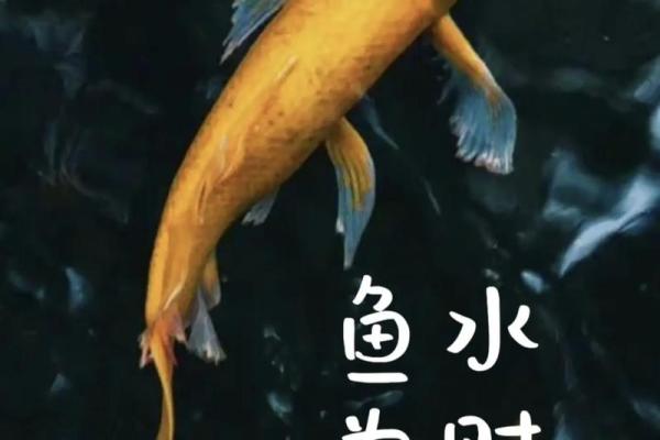 风水财_下雨算流水生财吗