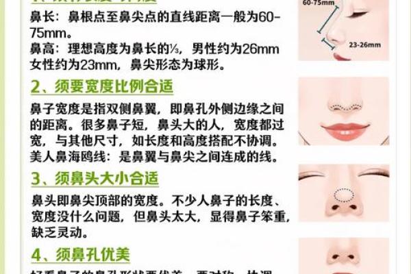 鼻子八字型特征及处理技巧！