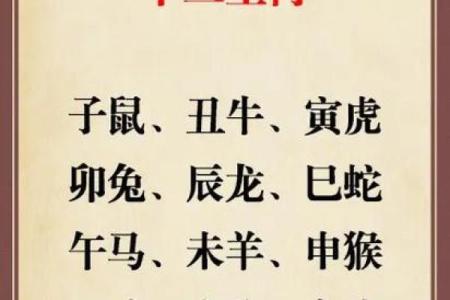 属鼠和属羊的八字合不合得来,属羊的跟属鼠的合财吗