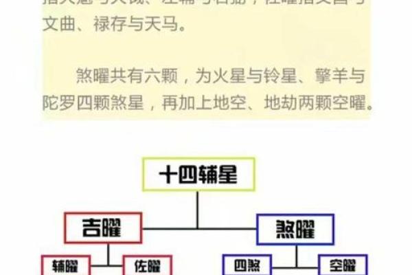 学习紫薇斗数入门推荐