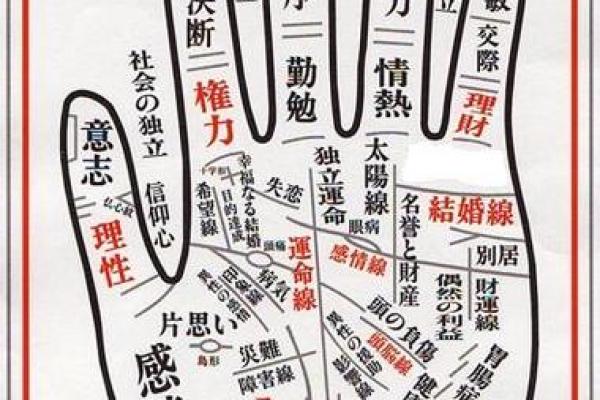 八字算命术和手相面相哪个更准确 八字算命术和手相面相哪个更准确