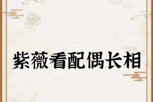 紫薇斗数官禄宫配偶