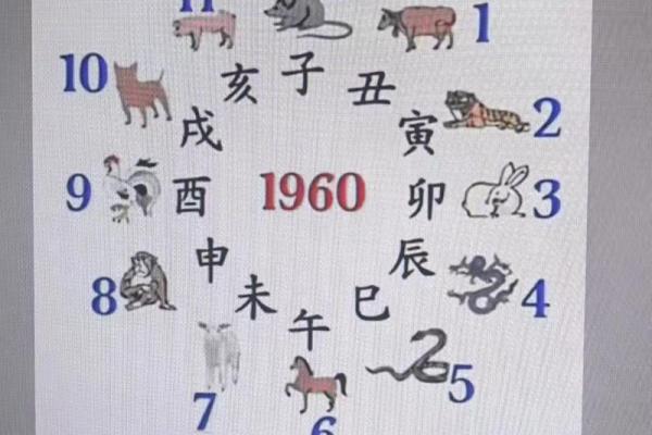 紫薇斗数和周易