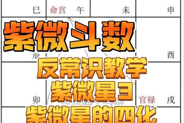 分析赵薇紫薇斗数