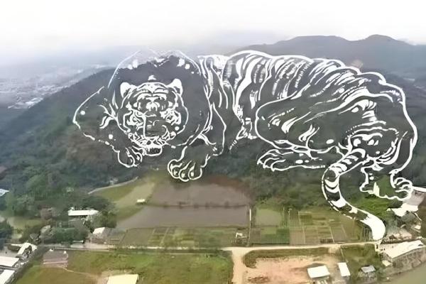 祖坟风水会有哪些影响 祖坟风水会有哪些影响