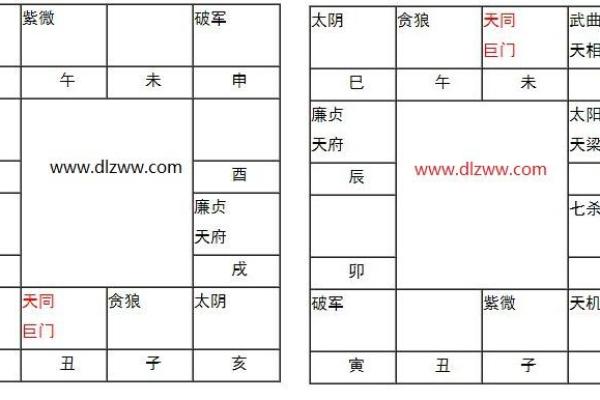 紫薇斗数进阶书