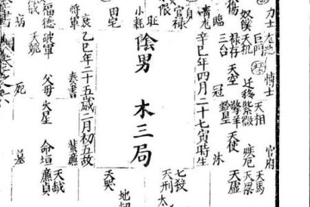 紫薇斗数全书陆