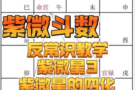 分析赵薇紫薇斗数