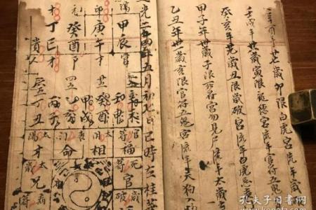 紫薇斗数进阶书