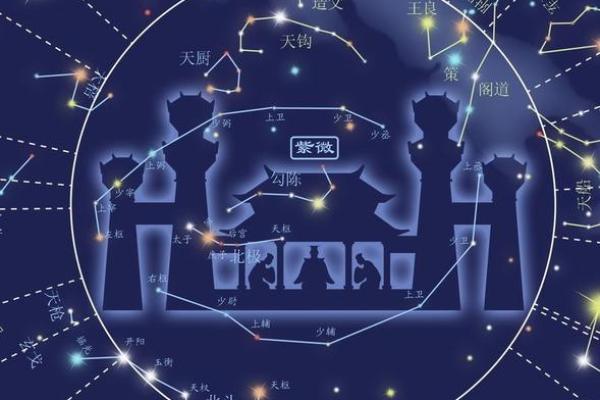 紫薇斗数从戍起子