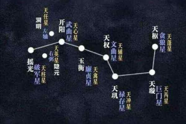 紫微斗数之疾厄宫与诸星，巨门星在疾病宫是什么意思？