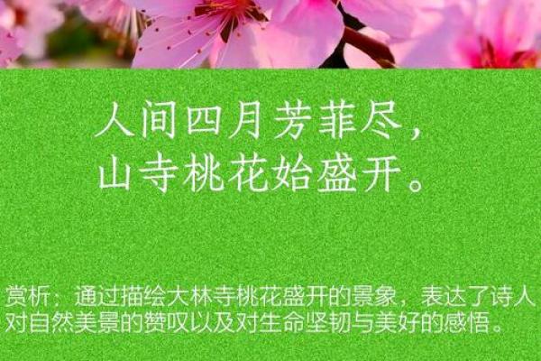 能够让你早日摘得桃花归的风水