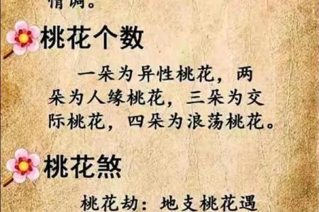 八字四朵正桃花,八字桃花查询表