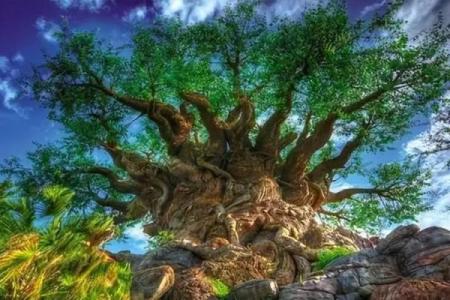 遮天紫薇星域和北斗哪个好