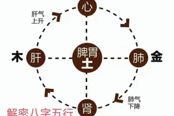 八字命理与健康密码