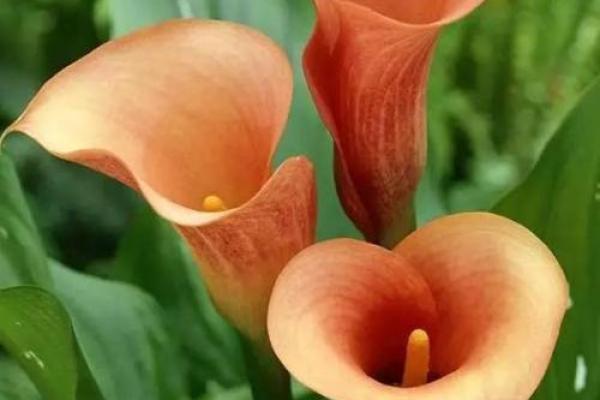 【神准测试】今年冬天，你会走什么运-