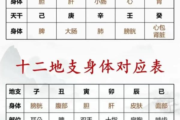 八字干支查询 八字干支查询